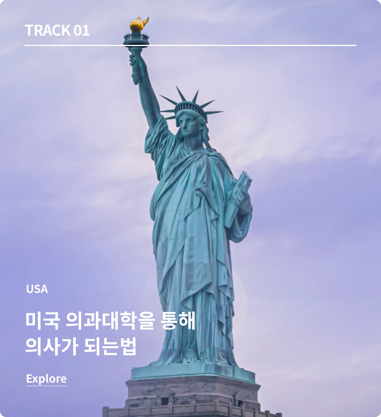미국의대 과정
