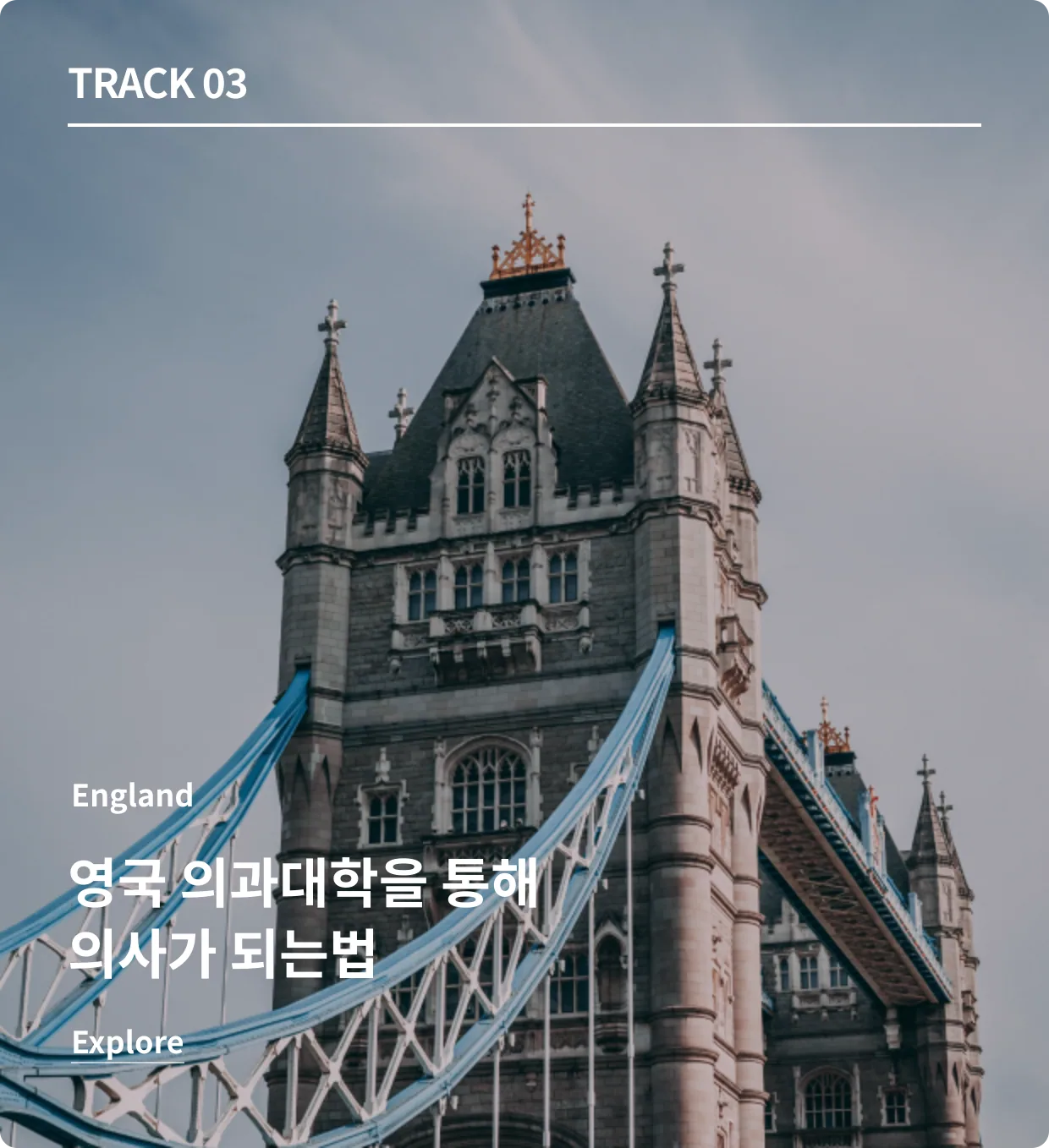 영국의대 과정